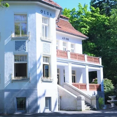 Olga Hotel 3*