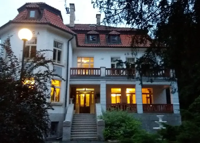 Hotel Olga 3*