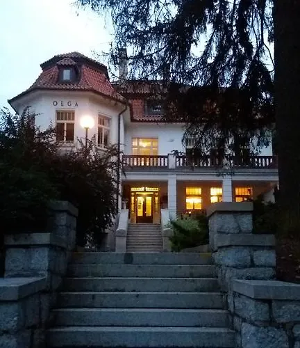 Olga Hotel 3*